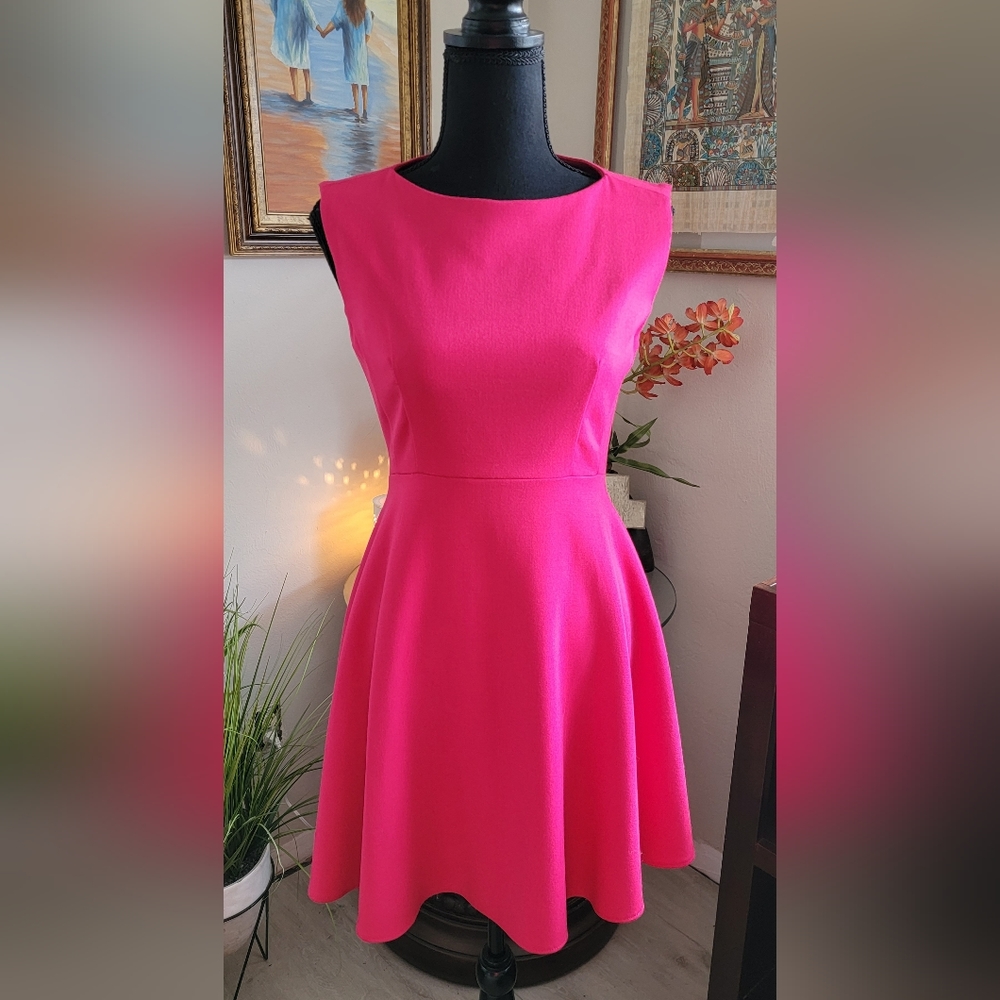 French Connection Size 4 A-Line Pink Dress